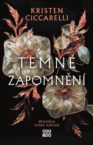 E-kniha Temné zapomnění