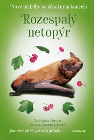 E-kniha Nové příběhy se šťastným koncem – Rozespalý netopýr