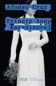 E-kniha Princíp Anny Kareninovej
