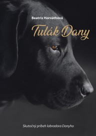 E-kniha Tulák Dany
