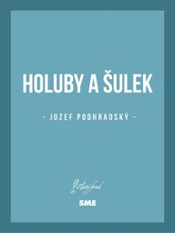 E-kniha Holuby a Šulek