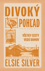 E-kniha Divoký pohľad