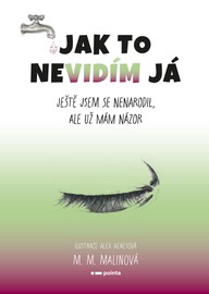 E-kniha Jak to nevidím já