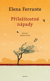 E-kniha Příležitostné nápady