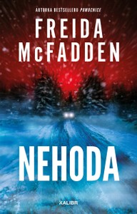E-kniha Nehoda