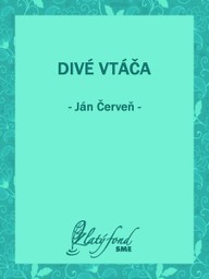 E-kniha Divé vtáča