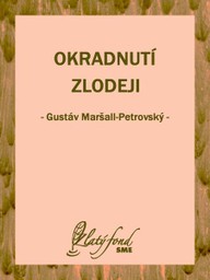 E-kniha Okradnutí zlodeji