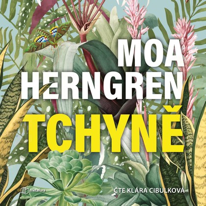 Mluvené slovo Tchyně