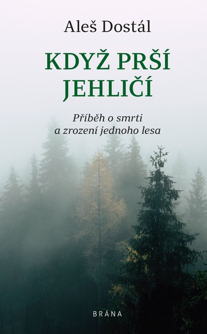 E-kniha Když prší jehličí