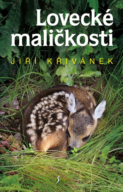 E-kniha Lovecké maličkosti