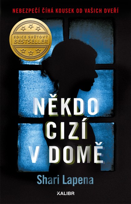 E-kniha Někdo cizí v domě