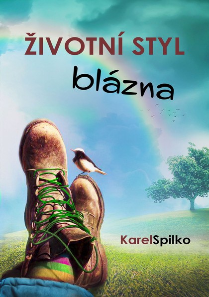 E-kniha Životní styl blázna