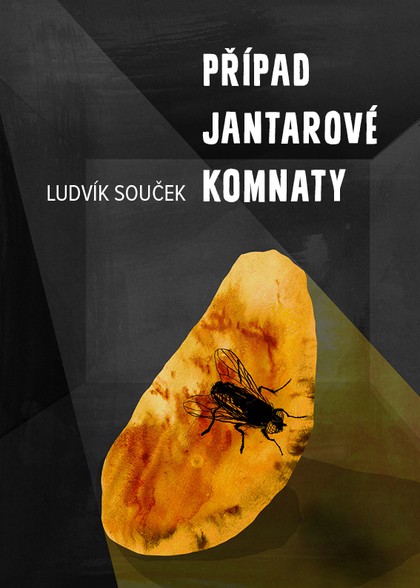 E-kniha Případ Jantarové komnaty