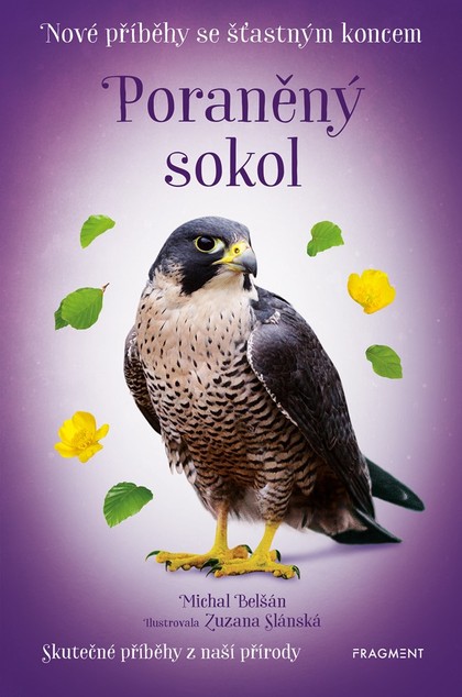 E-kniha Nové příběhy se šťastným koncem – Poraněný sokol