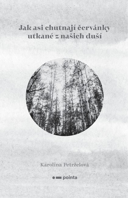 E-kniha Jak asi chutnají červánky utkané z našich duší