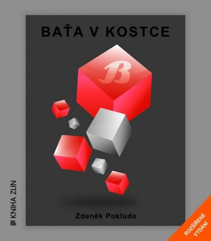 E-kniha Baťa v kostce