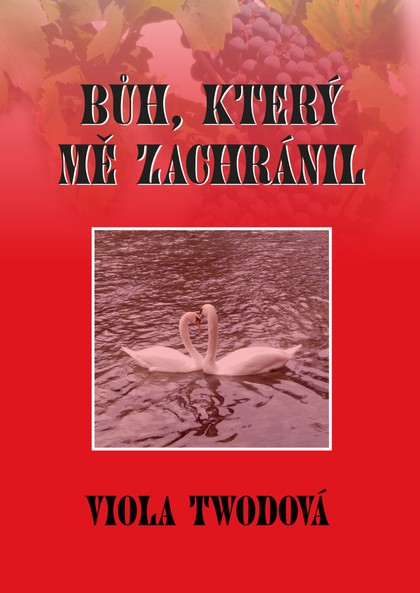E-kniha Bůh, který mě zachránil