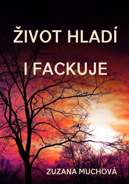 E-kniha Život hladí i fackuje