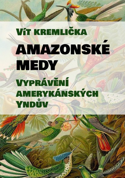 E-kniha Amazonské Medy - Vyprávění amerykánských Yndův