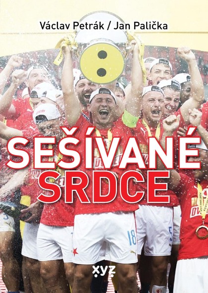 E-kniha Sešívané srdce