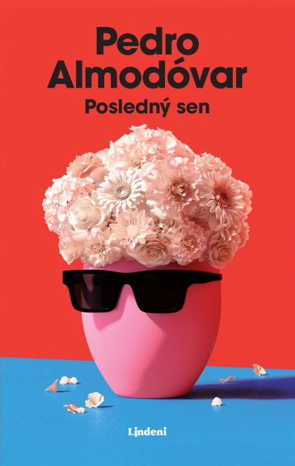 E-kniha Posledný sen