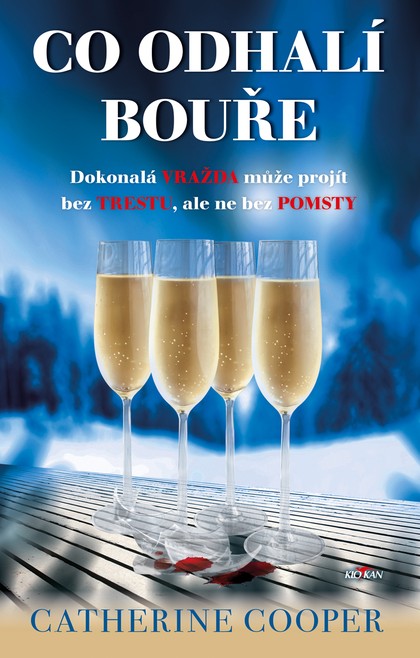 E-kniha Co odhalí bouře