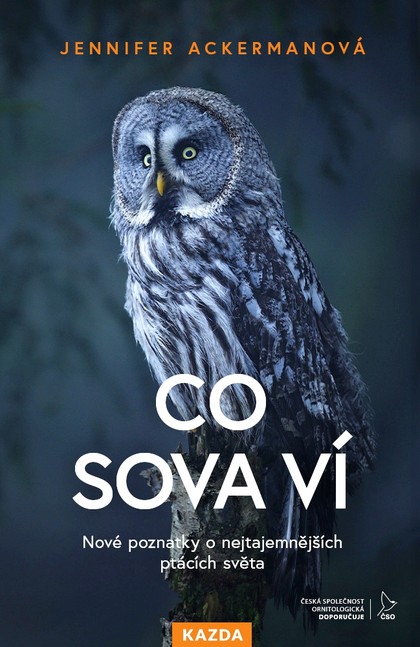 E-kniha Co sova ví