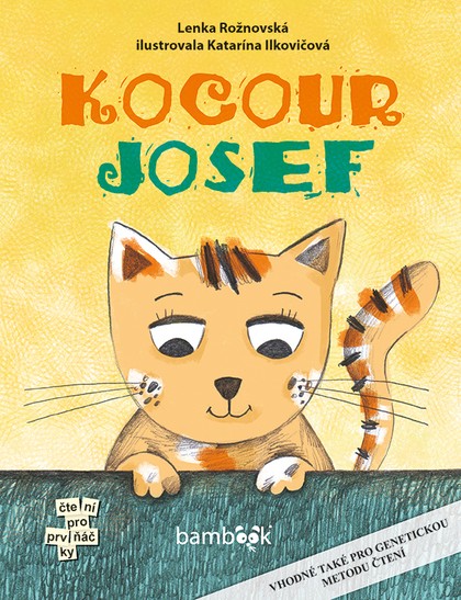 E-kniha Kocour Josef