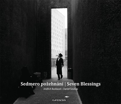 E-kniha Sedmero požehnání - Seven Blessings