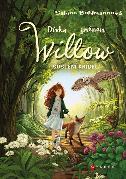 E-kniha Dívka jménem Willow: Šustění křídel