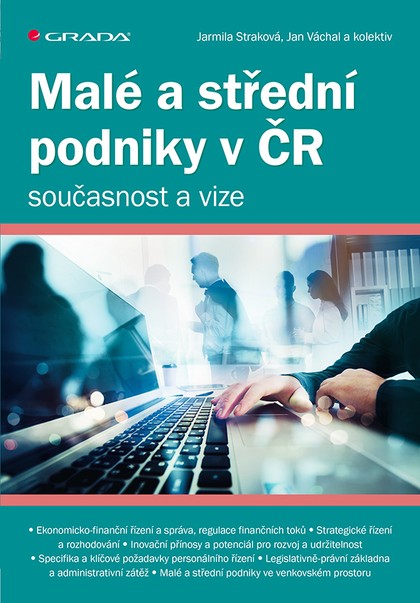 E-kniha Malé a střední podniky v ČR – současnost a vize