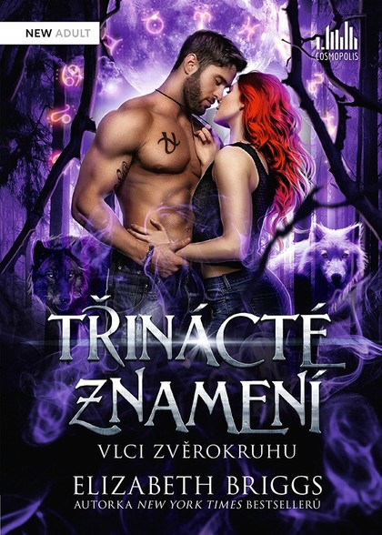 E-kniha Třinácté znamení
