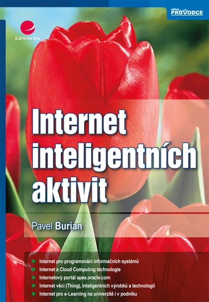 E-kniha Internet inteligentních aktivit