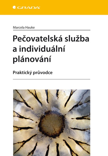 E-kniha Pečovatelská služba a individuální plánování