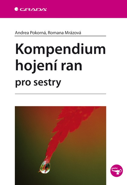 E-kniha Kompendium hojení ran pro sestry