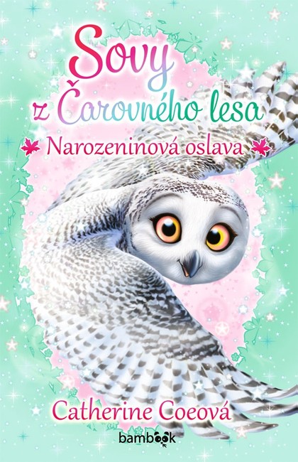 E-kniha Sovy z Čarovného lesa - Narozeninová oslava