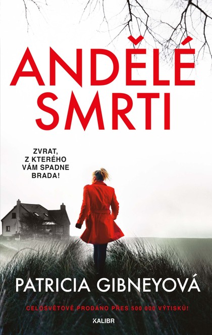 E-kniha Andělé smrti