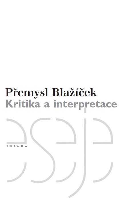 E-kniha Kritika a interpretace