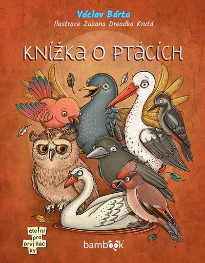 E-kniha Knížka o ptácích