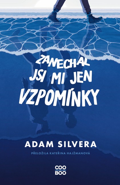 E-kniha Zanechal jsi mi jen vzpomínky