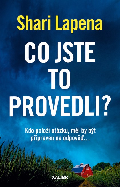 E-kniha Co jste to provedli?
