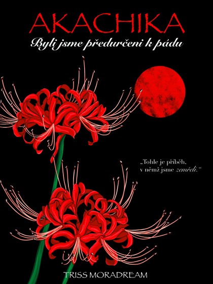 E-kniha Akachika