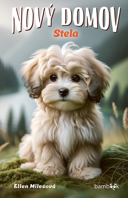 E-kniha Nový domov – Stela