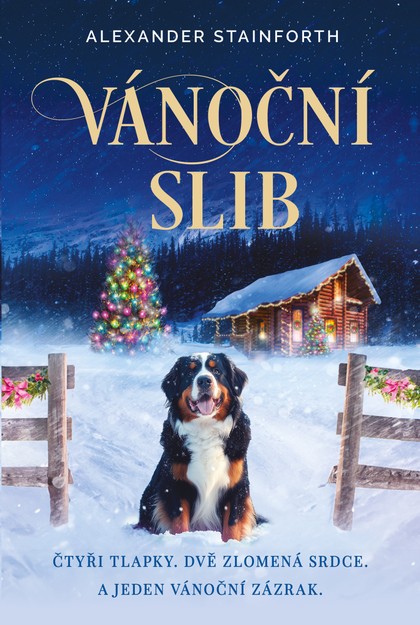 E-kniha Vánoční slib