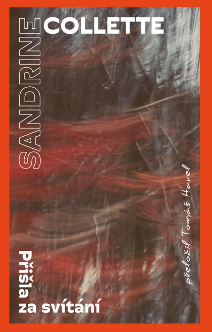 E-kniha Přišla za svítání