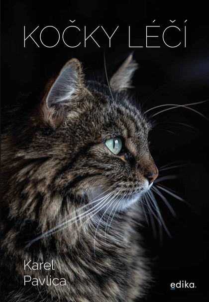E-kniha Kočky léčí