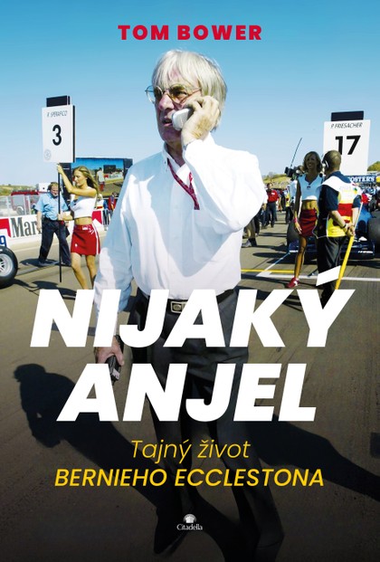 E-kniha Nijaký anjel