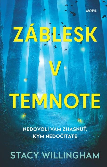 E-kniha Záblesk v temnote