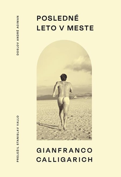 E-kniha Posledné leto v meste