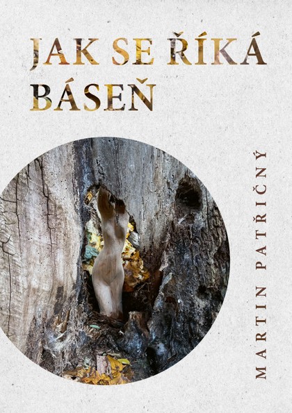 E-kniha Jak se říká báseň